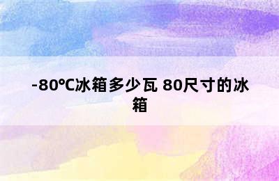 -80℃冰箱多少瓦 80尺寸的冰箱